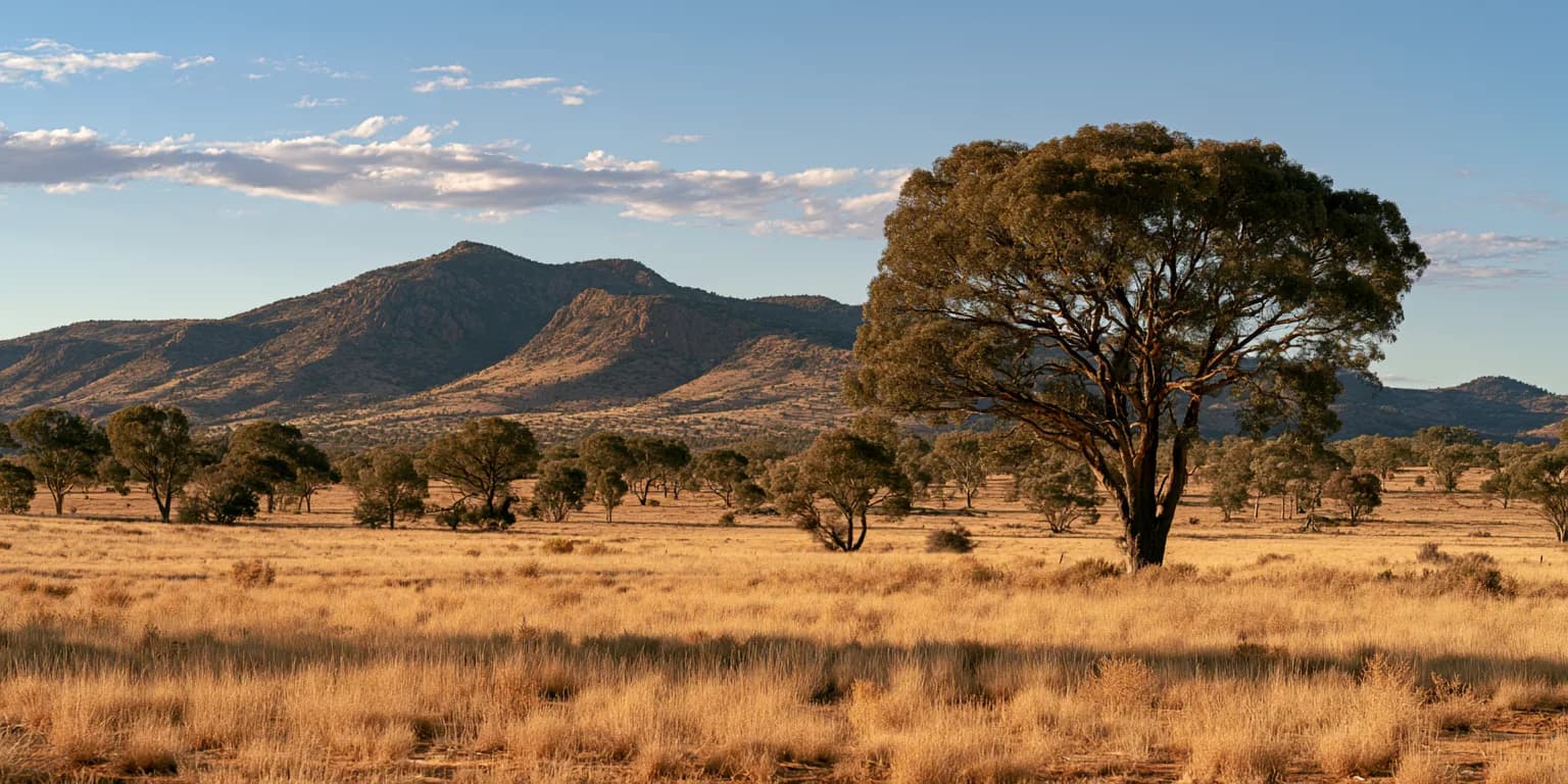 Golden grass plains, a gum tree, and a mountain range in the Australian Outback, made with Midjourney V8.2